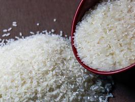 水稻的种植流程